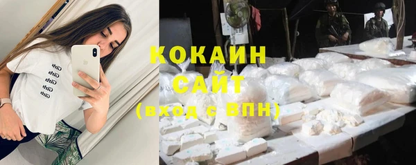 индика Алексин