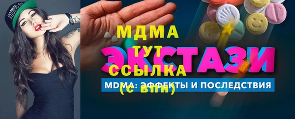 индика Алексин