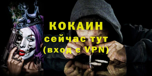 индика Алексин