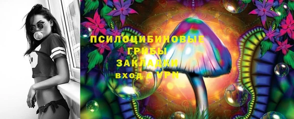 индика Алексин