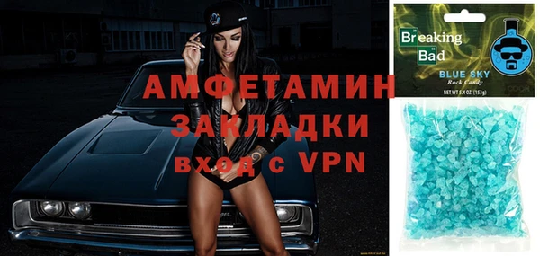 индика Алексин