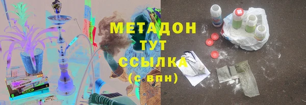 индика Алексин