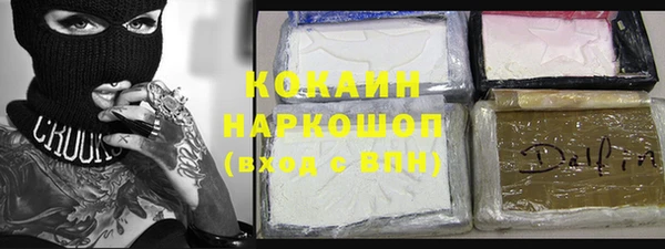 индика Алексин